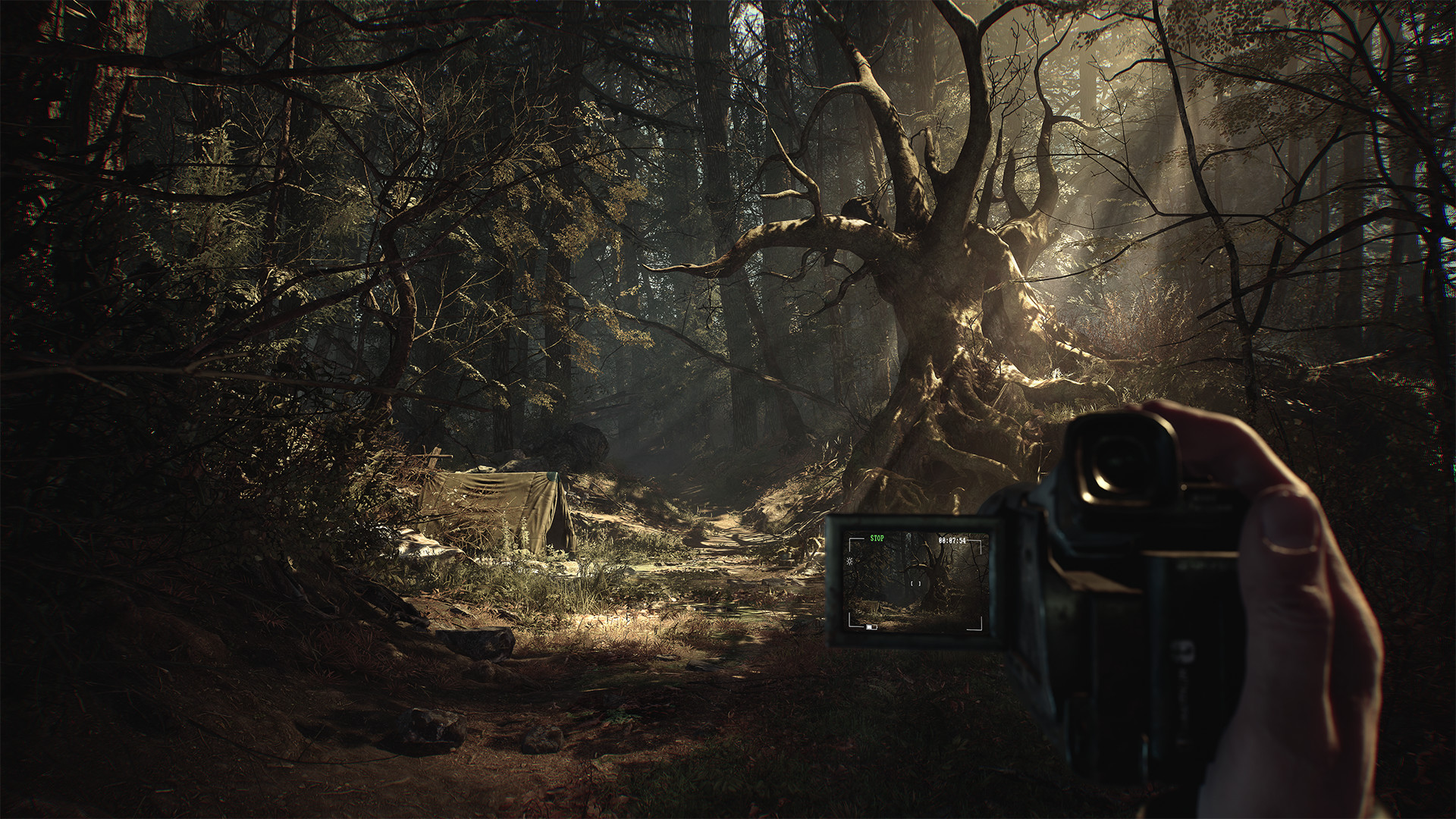 Oculus Quest 游戏《布莱尔女巫》Blair Witch: Oculus Quest Edition Blair Witch VR Edition Oculus Meta Quest Game