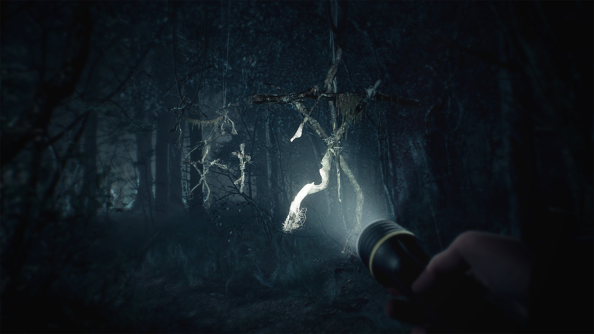 Oculus Quest 游戏《布莱尔女巫》Blair Witch: Oculus Quest Edition Blair Witch VR Edition Oculus Meta Quest Game