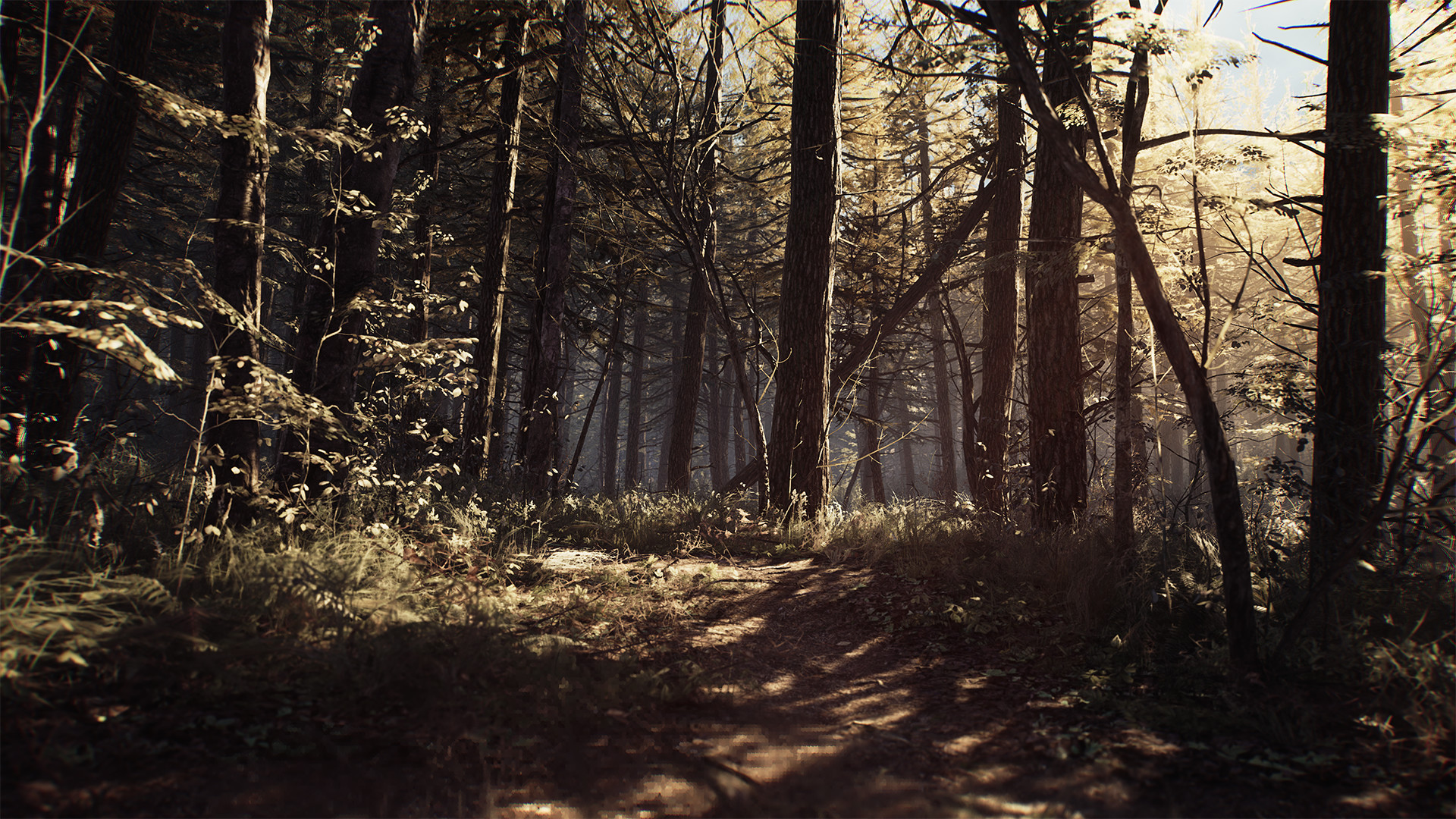 Oculus Quest 游戏《布莱尔女巫》Blair Witch: Oculus Quest Edition Blair Witch VR Edition Oculus Meta Quest Game