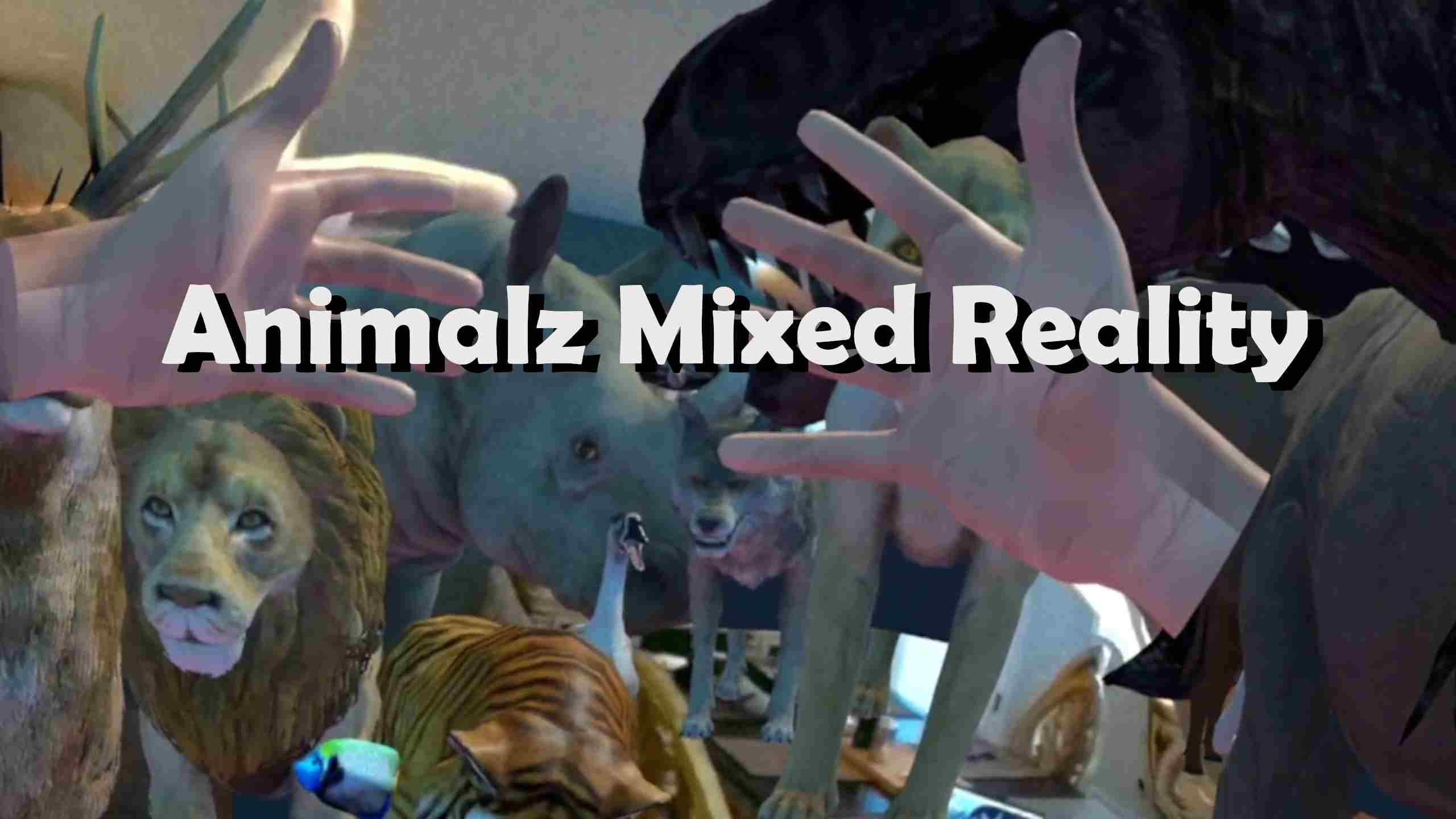 Animalz Mixed Reality Oculus Meta Quest VR Game