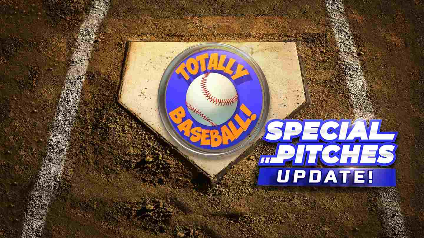 Totally Baseball Oculus Meta Quest VR Game
