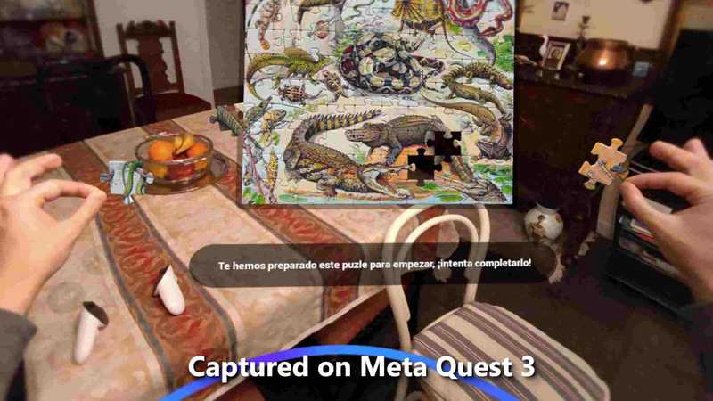 Oasis Puzzles AR