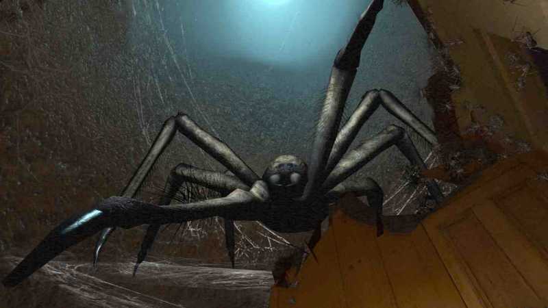 Panic Room MR