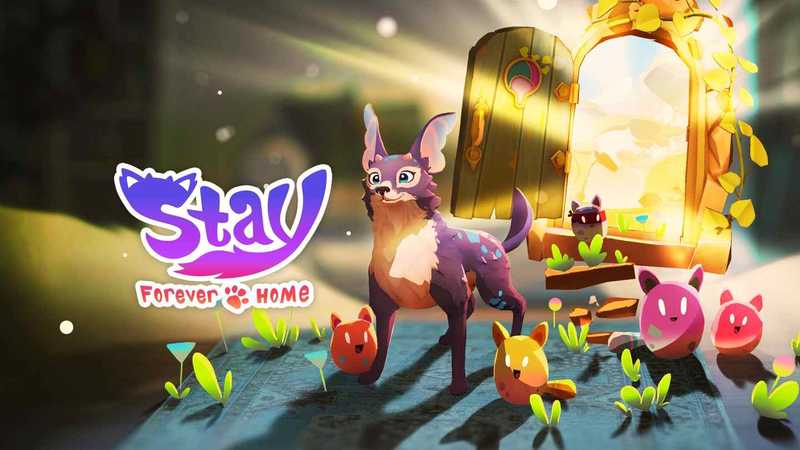 Stay- Forever Home