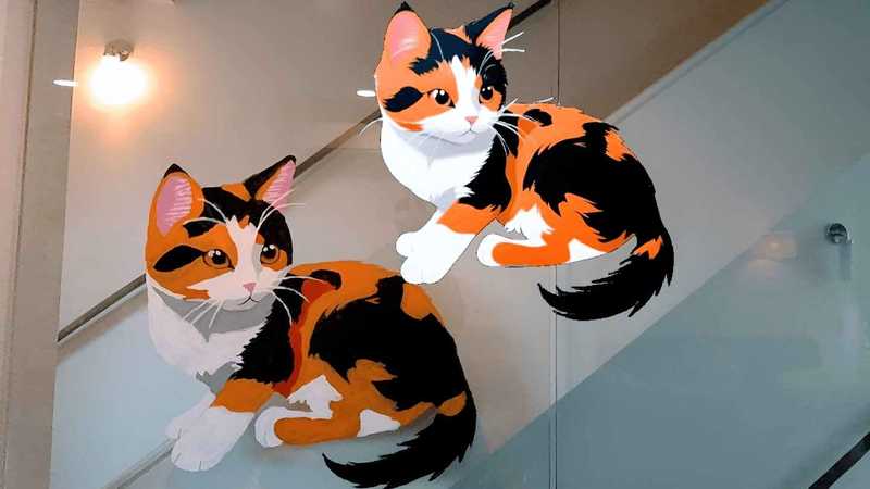 Stencil VR