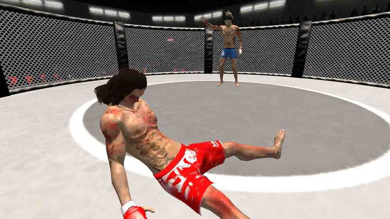 VR Boxing And MMA