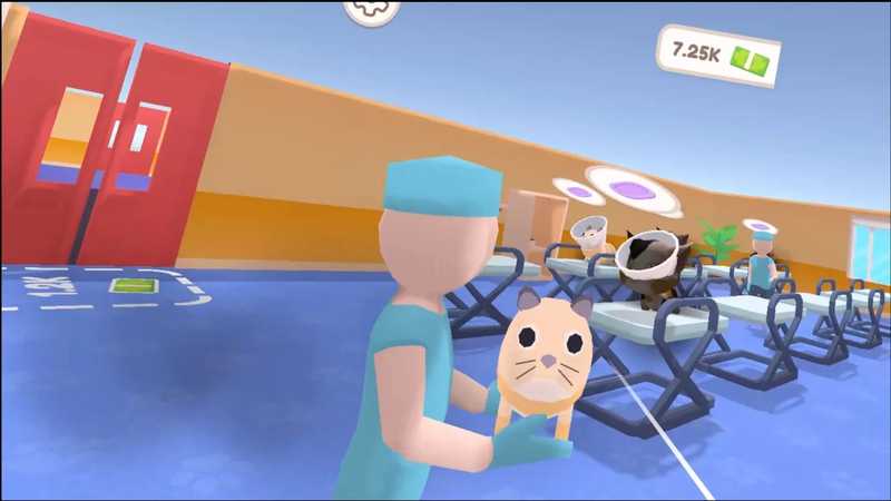 Vet VR