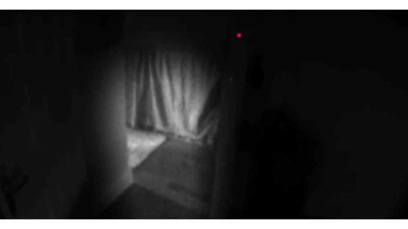 Zombies in Your Home