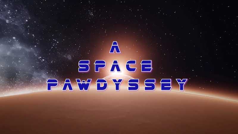 A Space Pawdyssey
