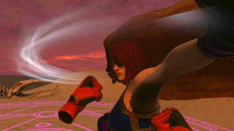 Art of Combat- Fighting Dragons Championship