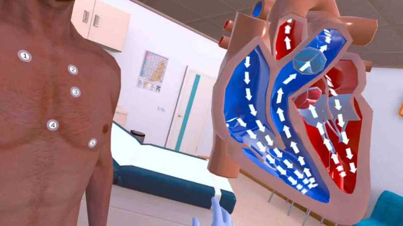 Auscultation training