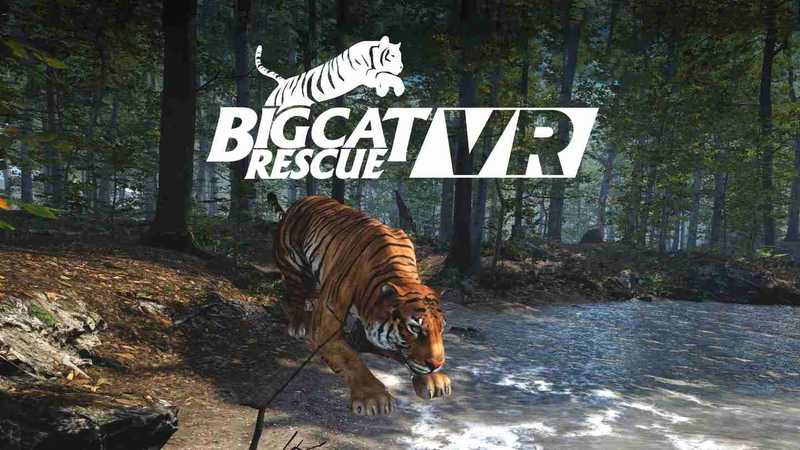 Big Cat Rescue