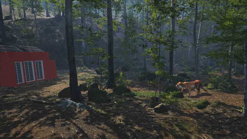 Big Cat Rescue
