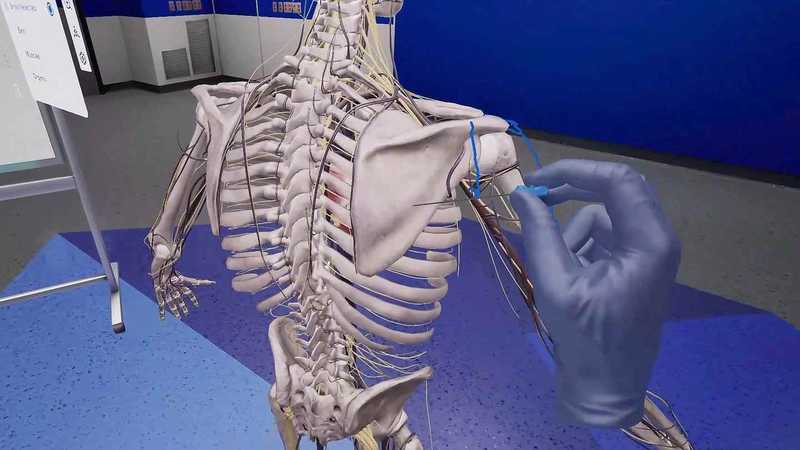 BodyWorks Precision Anatomy