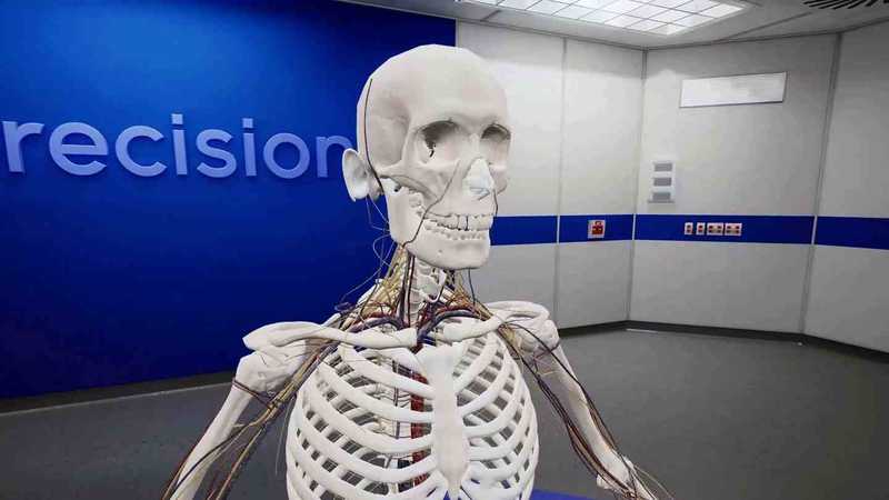 BodyWorks Precision Anatomy