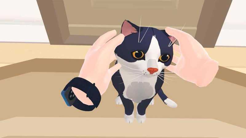 Cat Cafe