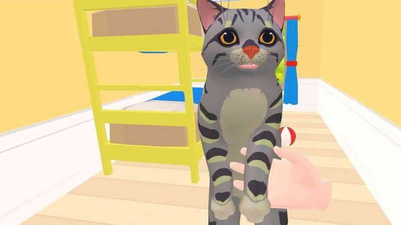 Cat Cafe