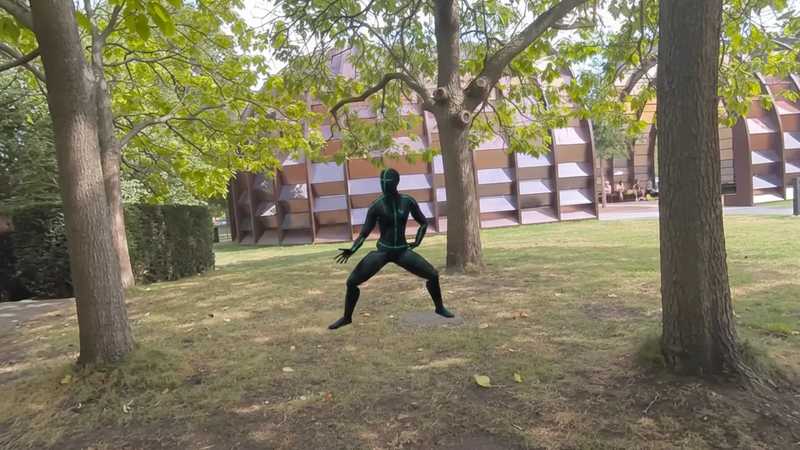 Chen Tai Chi XR