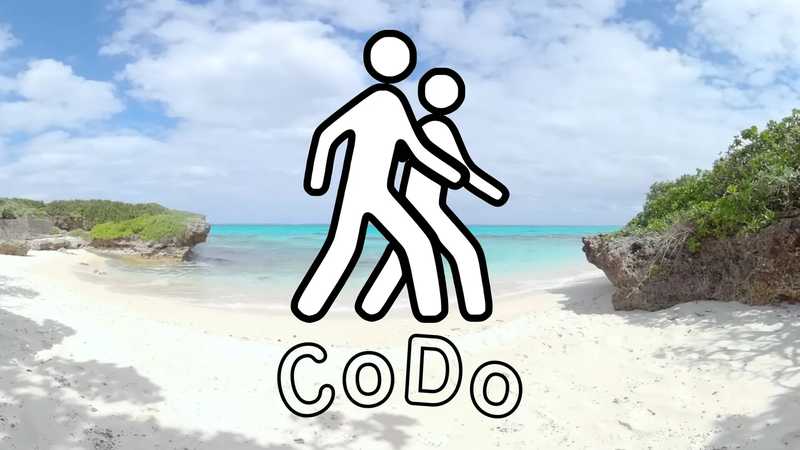 CoDo Spaces