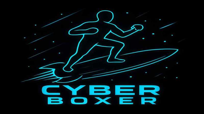Cyber Boxer