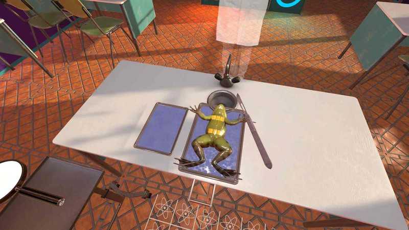 Dissection Simulator- Frog Edition