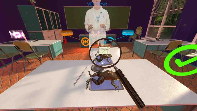 Dissection Simulator- Frog Edition