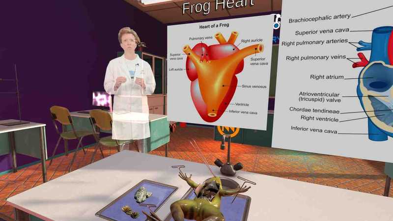 Dissection Simulator- Frog Edition