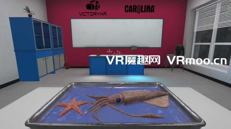 Dissection Simulator- Invertebrate Edition