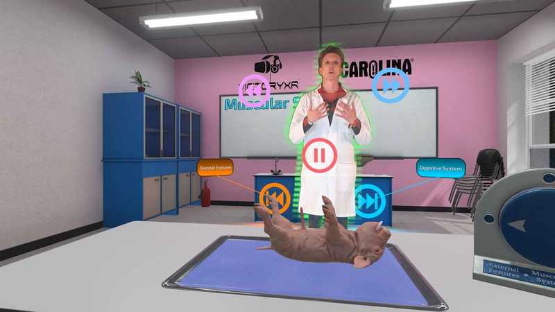 Dissection Simulator- Pig Edition