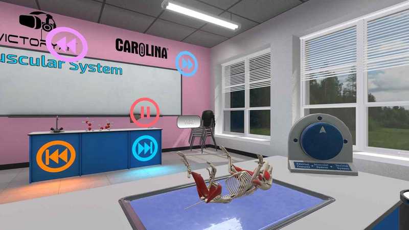 Dissection Simulator- Pig Edition