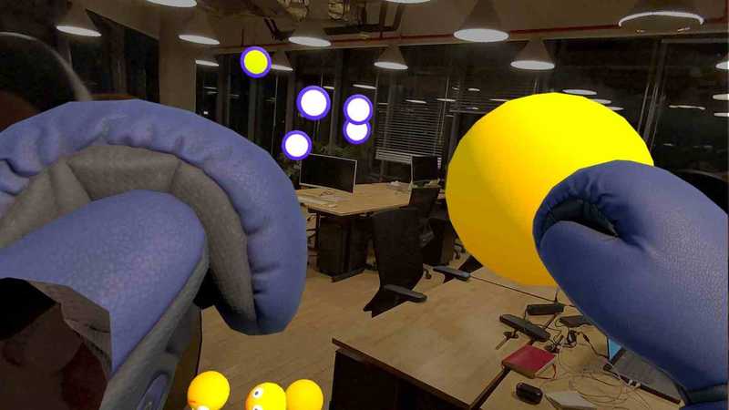 DuckOrDie- Boxing Minigame