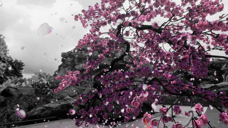 Epic Zen Garden