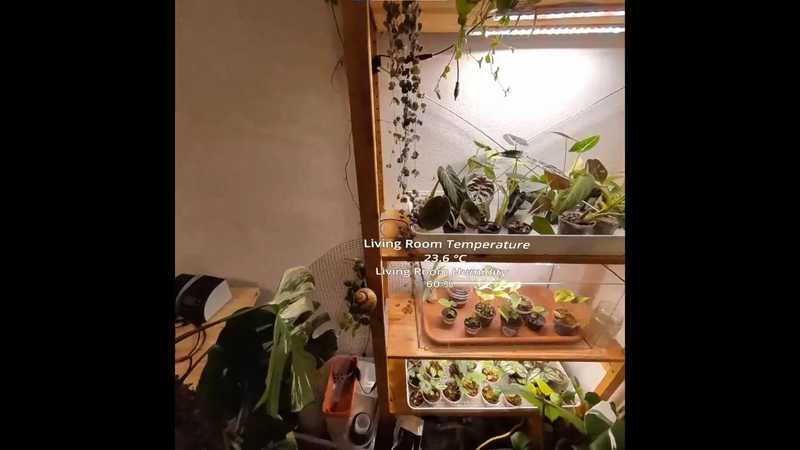 Immersive Home