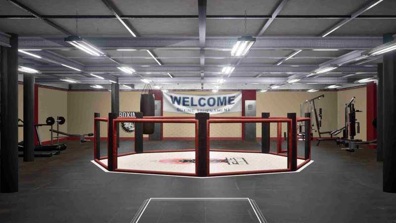 MMA Cage Conquest