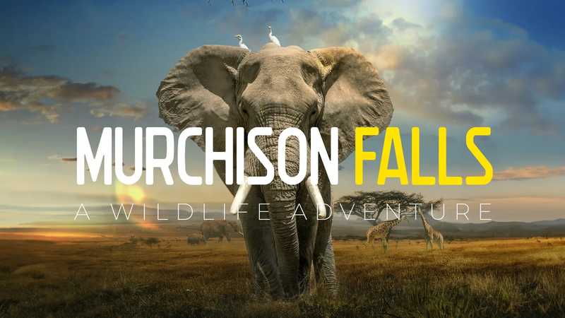 Murchison Falls- The Awarded Wildlife Adventure with Elephants, Lions and Hyenas