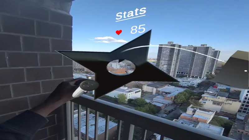 Ninja X