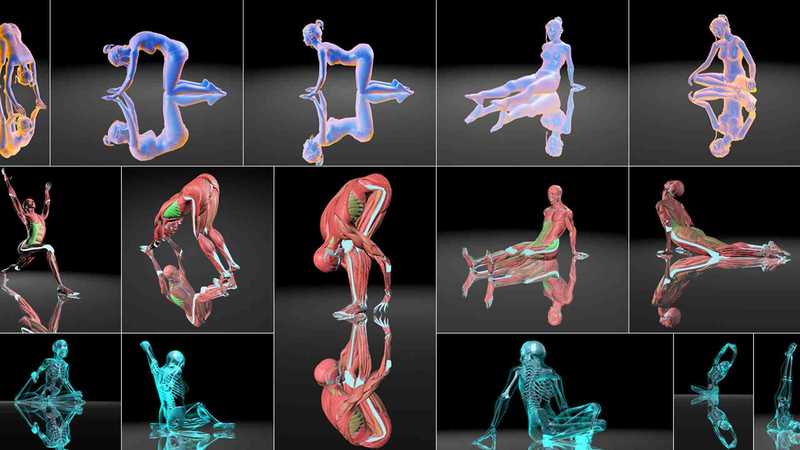 VirtuaLiron Yoga