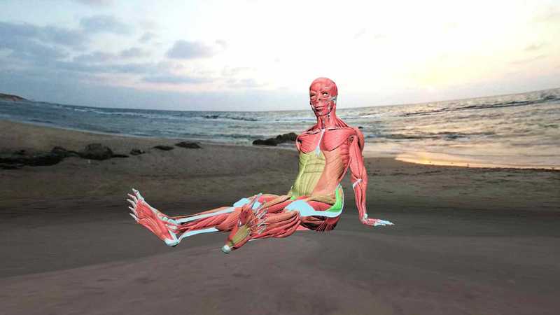 VirtuaLiron Yoga