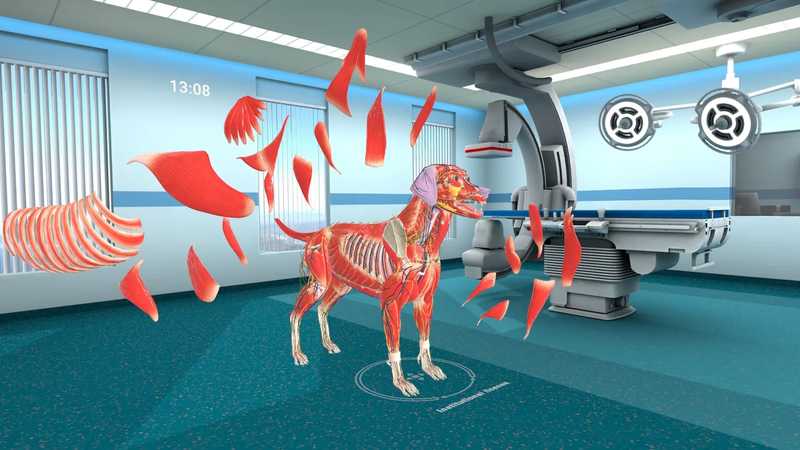 Animal Anatomy XR