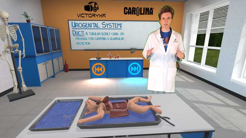 Dissection Simulator- Cat Edition