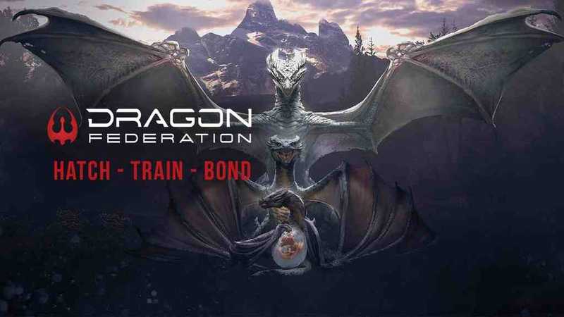 Dragon Federation