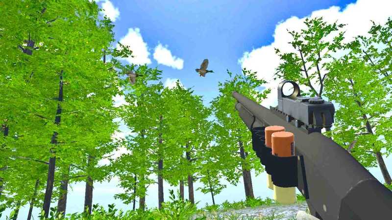 Duck Hunting Game VR