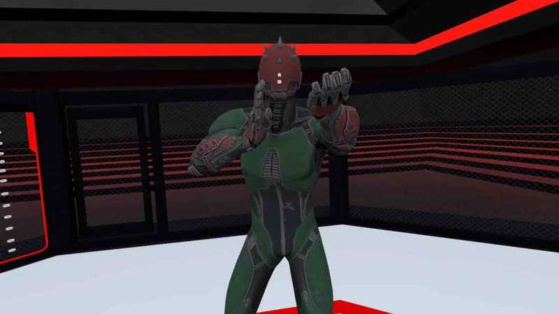 Fight Fit VR