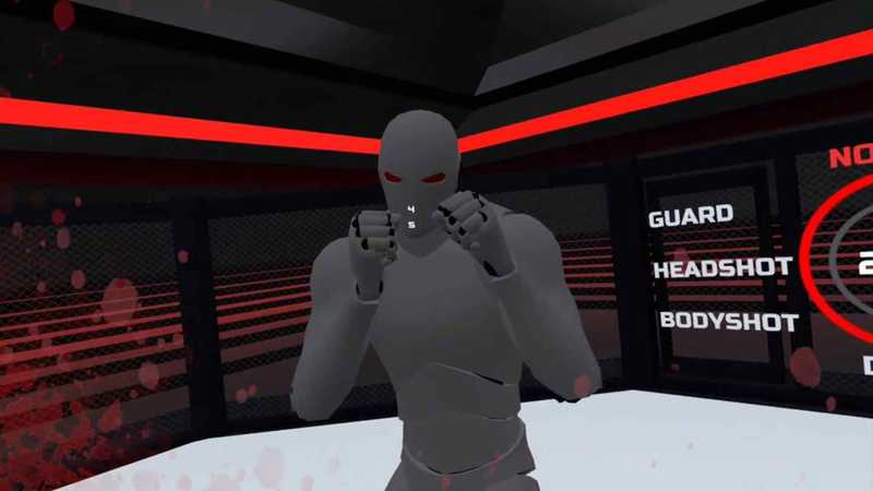 Fight Fit VR