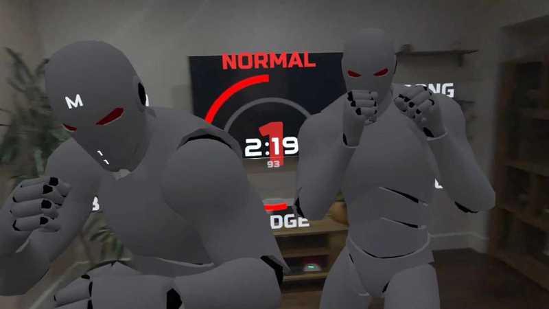 Fight Fit VR