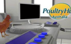 Anatomy of a Chicken VR Oculus Meta Quest all-in-one education game