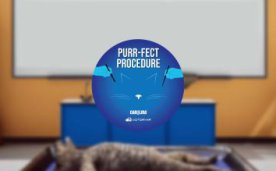 Dissection Simulator–Cat Edition Oculus Meta Quest education game