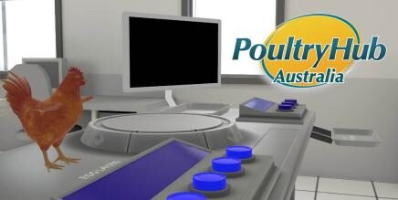 Anatomy of a Chicken VR Oculus Meta Quest all-in-one education game<span class="mi-jiaobiao" style="background-color: #0b6100;">Education Free</span>