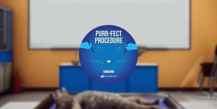 Dissection Simulator–Cat Edition Oculus Meta Quest education game<span class="mi-jiaobiao" style="background-color: #8e0101;">Education</span>