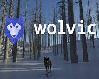 Wolf Browser Wolvic VR Oculus Meta Quest all-in-one VR browser<span class="mi-jiaobiao" style="background-color: #0a008f;">VR Browser Free</span>